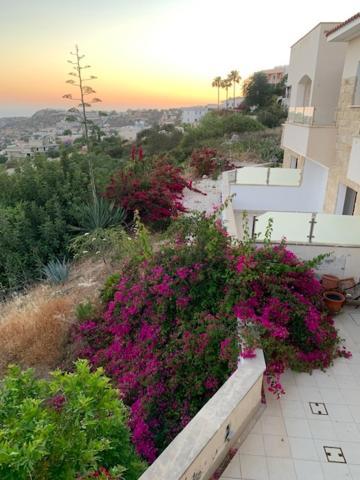 דירות פאהיה Beau Views Seven מראה חיצוני תמונה